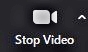 Image of stop video icon in Zoom