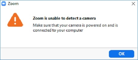 Screenshot of Zoom message indicating no video