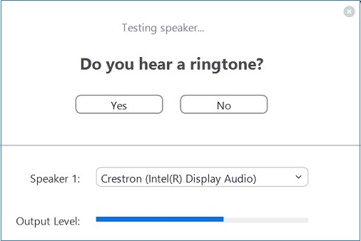 Screenshot of Zoom confirm audio message